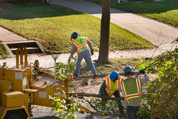 Best Lawn Drainage Solutions  in Salmon Brook, CT